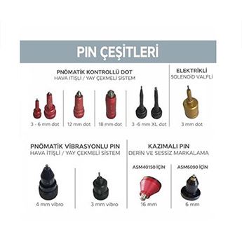 Pin Çeşitleri
